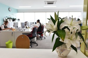 office 004